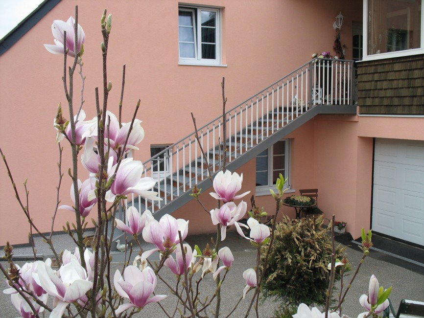 Alubalkon Palisade Exklusiv