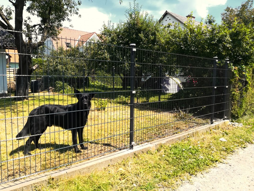 Familie Lugert aus Kalsdorf bei Graz, Aluzaun und Einfahrtstor