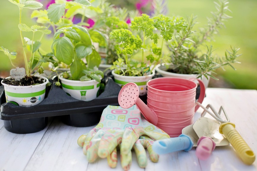 So machst du deinen Garten fit für den Frühling